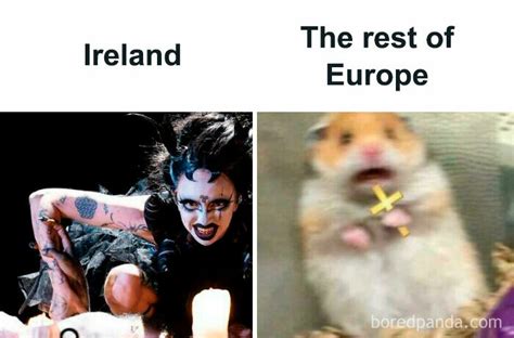 30 Memes And Jokes To Celebrate The Eurovision Song Contest Of 2024 ...