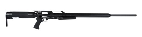 5 Best Air Rifles For Plinking And Hunting All Budgets Pew Pew Tactical