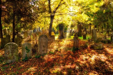 Autumn Cemetery Stock Photo Image Of Fall Buried Colors 15958486