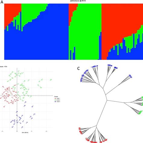 Population Structure For D Rotundata Genotypes Based On Admixture