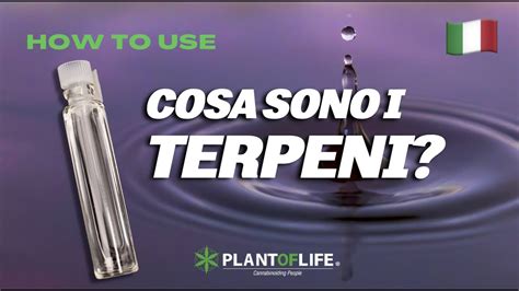 Cosa Sono I Terpeni Plant Of Life Youtube