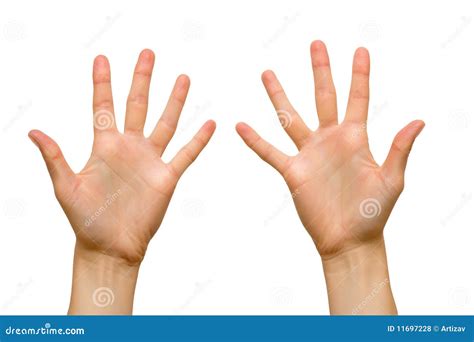 Female Hand Palms Royalty Free Stock Photos Image 11697228