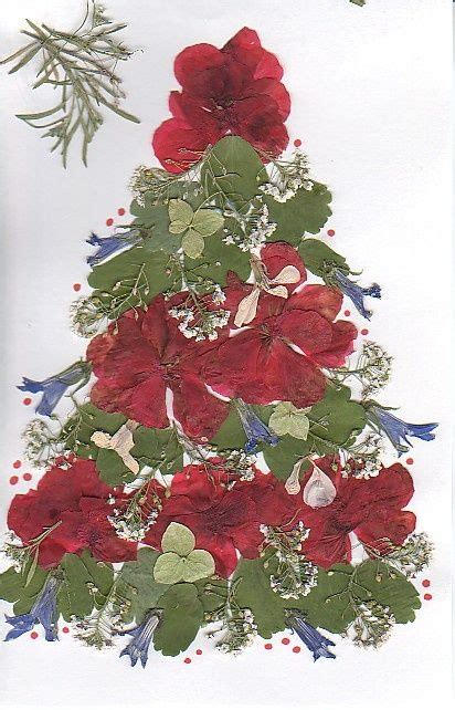 Press Poinsettias And Use As Decorations For Cards Christmas Activity