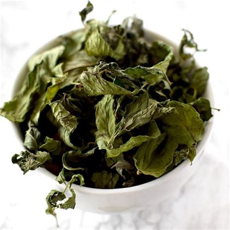 How to Dry Mint Leaves for Tea - The Taste of Kosher