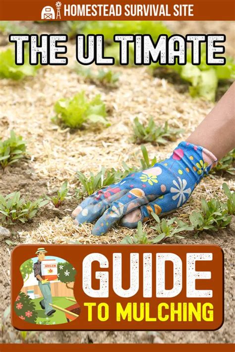 The Ultimate Guide To Mulching Theworldofsurvival