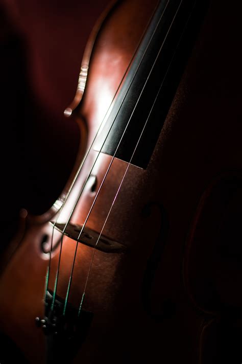 Free Images : acoustic guitar, red, musical instrument, close up, cello ...