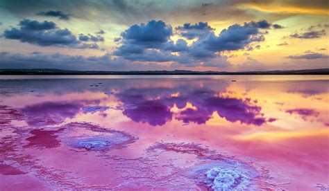 The Pink Lake Of Torrevieja A Spectacular Scene Studentsrent