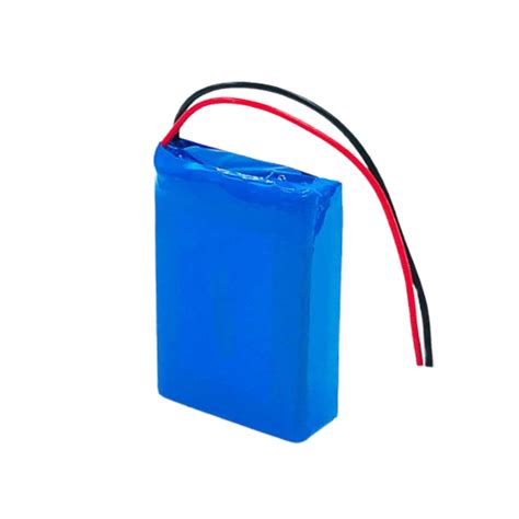 12V 1200mAh Lithium Battery Pack - Lithium ion Battery Manufacturer and ...