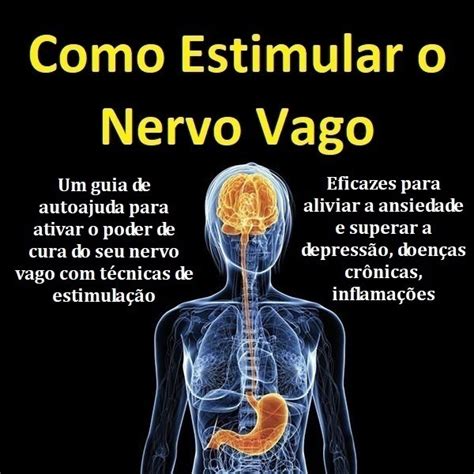 Nervo Vago Exercícios Para Estimulação E Controle Corporal