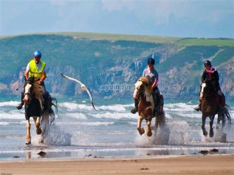 Equestrian Escapes Prices And Bookings 2024