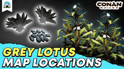 Grey Lotus Locations Where To Find Grey Lotus Easy Grey Lotus