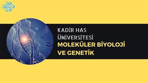 Kadir Has Üniversitesi Moleküler Biyoloji ve Genetik Başarı Sırası