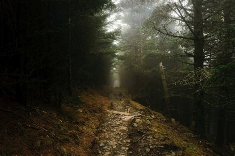 Lonely Hiking Trail In The Fog 4k Wallpaper