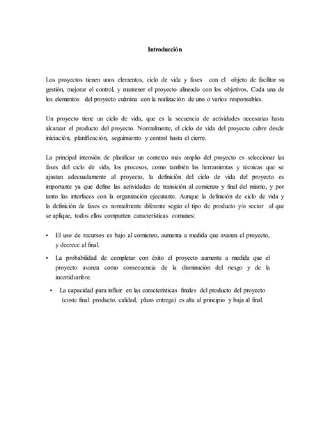 Ciclo De Vida De Un Proyecto Pdf