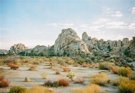 17 Best Joshua Tree Hikes