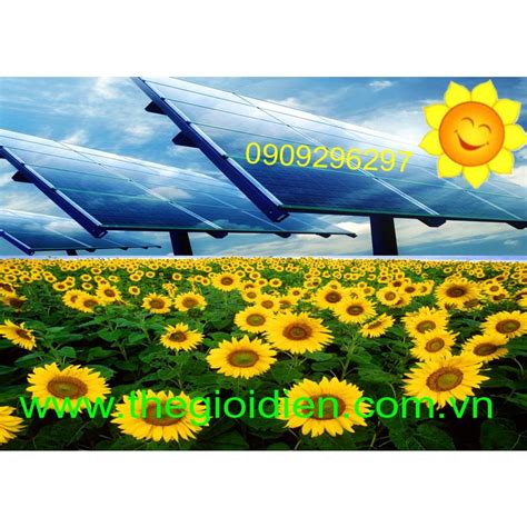 Hệ Thống điện Mặt Trời Hòa Lưới 4kw Solarcity Điện Năng Lượng Mặt Trời