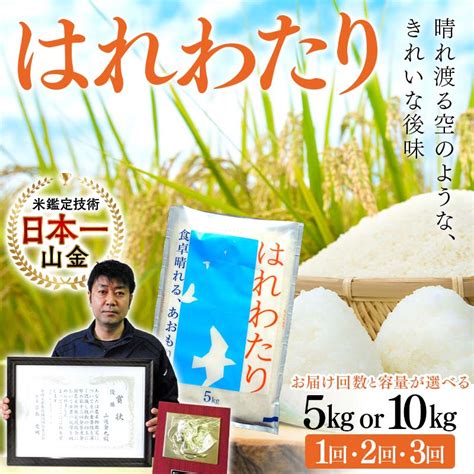 【ふるさと納税】 ＜お届け回数と容量が選べる定期便＞【コメ鑑定技術日本一の山金】 青森県南部町産 はれわたり（令和5年産） 5kg・10kg