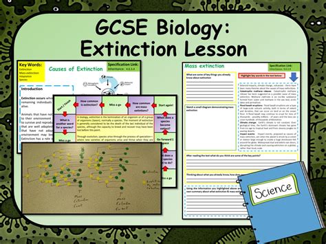 Aqa Gcse Biology Science Extinction Lesson Teaching Resources