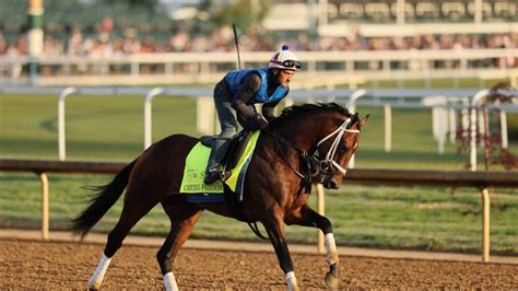 Here's The Best Of This Year's Crop Of Kentucky Derby Horse Names | OutKick