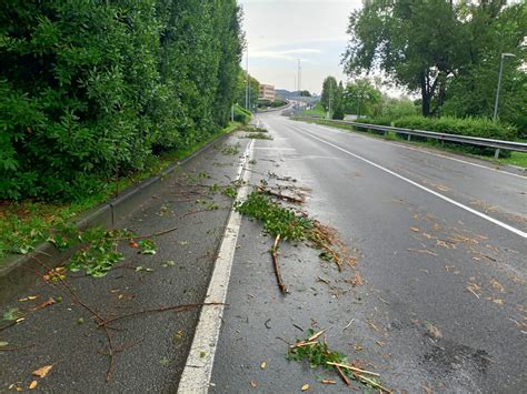 Temporale E Vento Sul Lecchese Strade Bloccate E Alberi Caduti Disagi