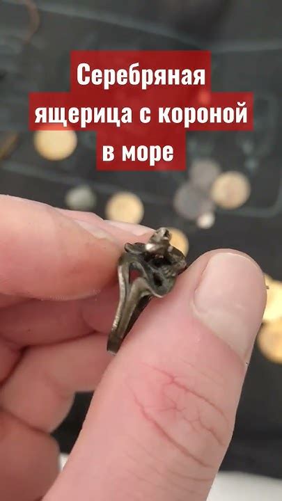 4 день зимнего поиска с металлоискателем - YouTube