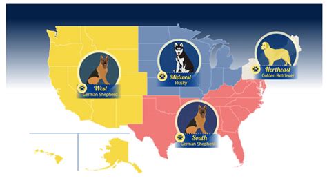 Most Popular Dog Breeds In The United States By Region Vetstreet