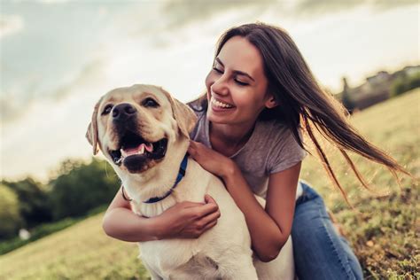 Happy Dogs And Owners