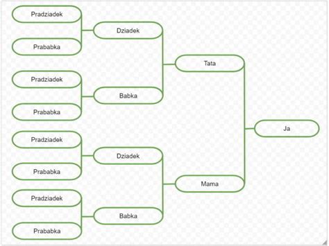 Jak zrobić drzewo genealogiczne w Excelu KIM ONI BYLI