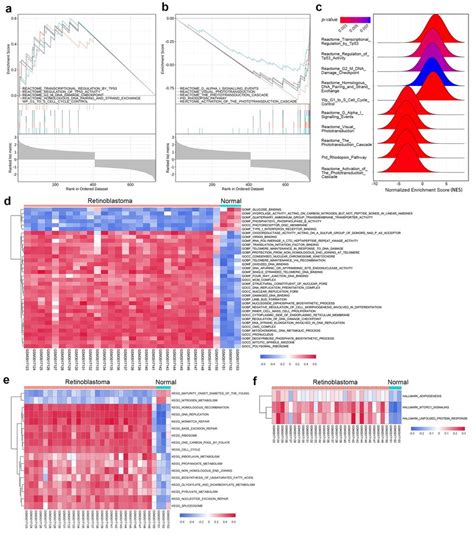 Gene Set Enrichment Analysis Gsea And Gene Set Variation Analysis Download Scientific Diagram