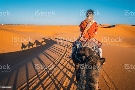 Asian Chinese Tourist Camel Caravan Going Through The Sahara Desert In