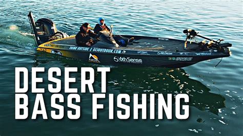 How To Find Desert Bass Bass Fishing Lake Havasu Az Mlf Practice