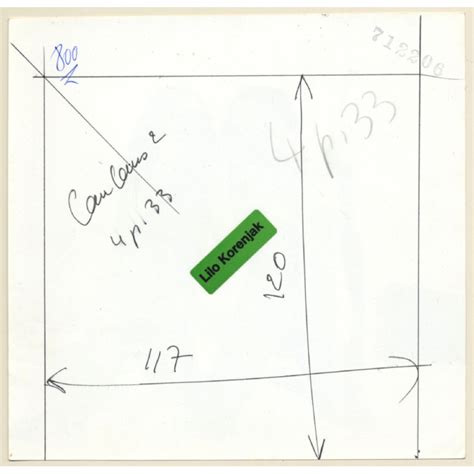 Erotic Study 2 Slim Darkhaired Nudes Kneeling On Flocati Lesbian INT Vintage Photo KORENJAK