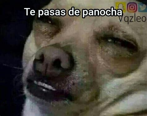 Te Pasas De Panocha Generador Memes