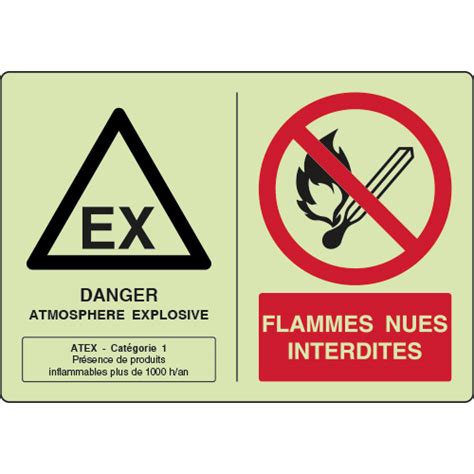 Panneau photoluminescent ATEX combiné classe 1 P003 Virages