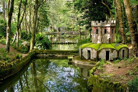 Parque Nacional da Pena - Sintra - Portugal | Belos lugares para visitar, Lugares incríveis ...