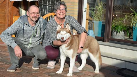 Hundefreunde Welver suchen einen Tummelplatz 