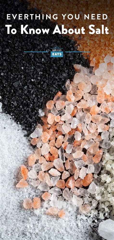 A Guide To Salt The Worlds Most Popular Food Everything You Need To