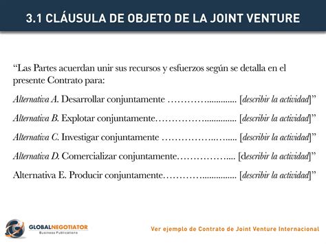 CONTRATO DE JOINT VENTURE INTERNACIONAL Modelo De Contrato Y Ejemplo