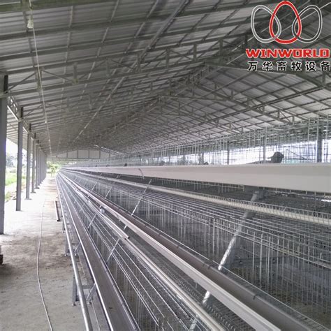 Sierra Leone Poultry Farm Using Tiers A Type Battery Laying Hen Cage