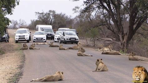 Escala En El Aeropuerto De Nairobi Visita Al Parque Nacional De