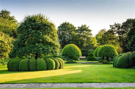 Design Solutions: Topiary | Backyard garden design, Topiary garden ...