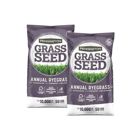 Pennington Annual Ryegrass 100 Lb Annual Ryegrass Grass Seed In The Grass Seed Department At