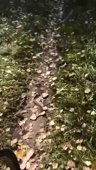 Bike Ride Gay Big Cock Amateur Porn Video Ba XHamster XHamster