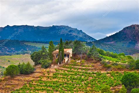 France, view of vineyards — Stock Photo © IgorBorodin #6079056