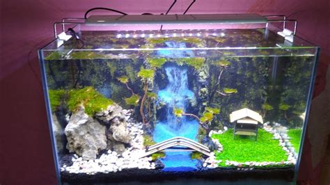 Akuarium Aquascape Air Terjun Waterfall Bonsai Youtube