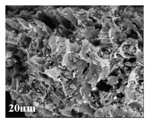 Scanning Electron Micrographs Of Raw Rice Husk Biochar A And Dye