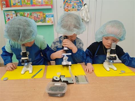 Опыты и эксперименты в Год экологической культуры | Муниципальное ...