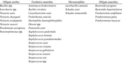 The Distribution Of Isolated Bacteria Based On Oxygen Requirements Download Scientific Diagram