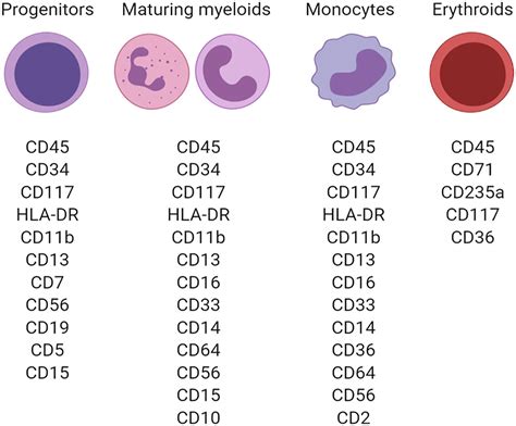 Clinical Flow Cytometry Analysis In The Setting Of Chronic Myeloid