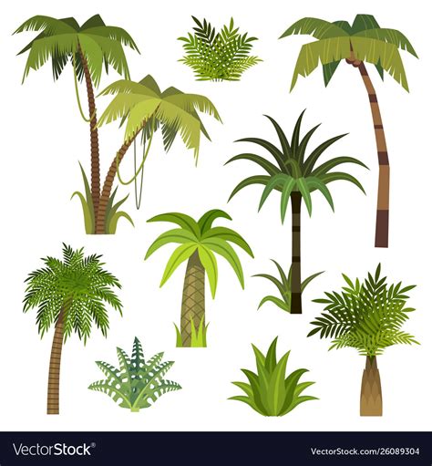 Cartoon palm tree jungle trees with green Vector Image